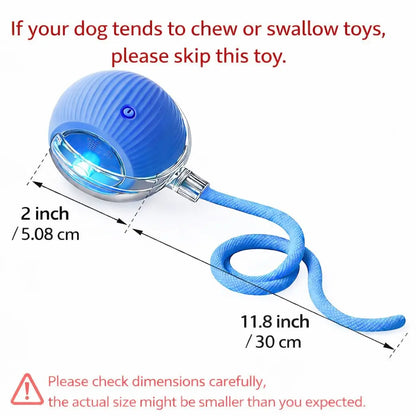 Mizusu Interactive Cat and Dog Teaser Toy with Two Additional Tails - Kitten Rolling Ball Toy and Pet Accessories