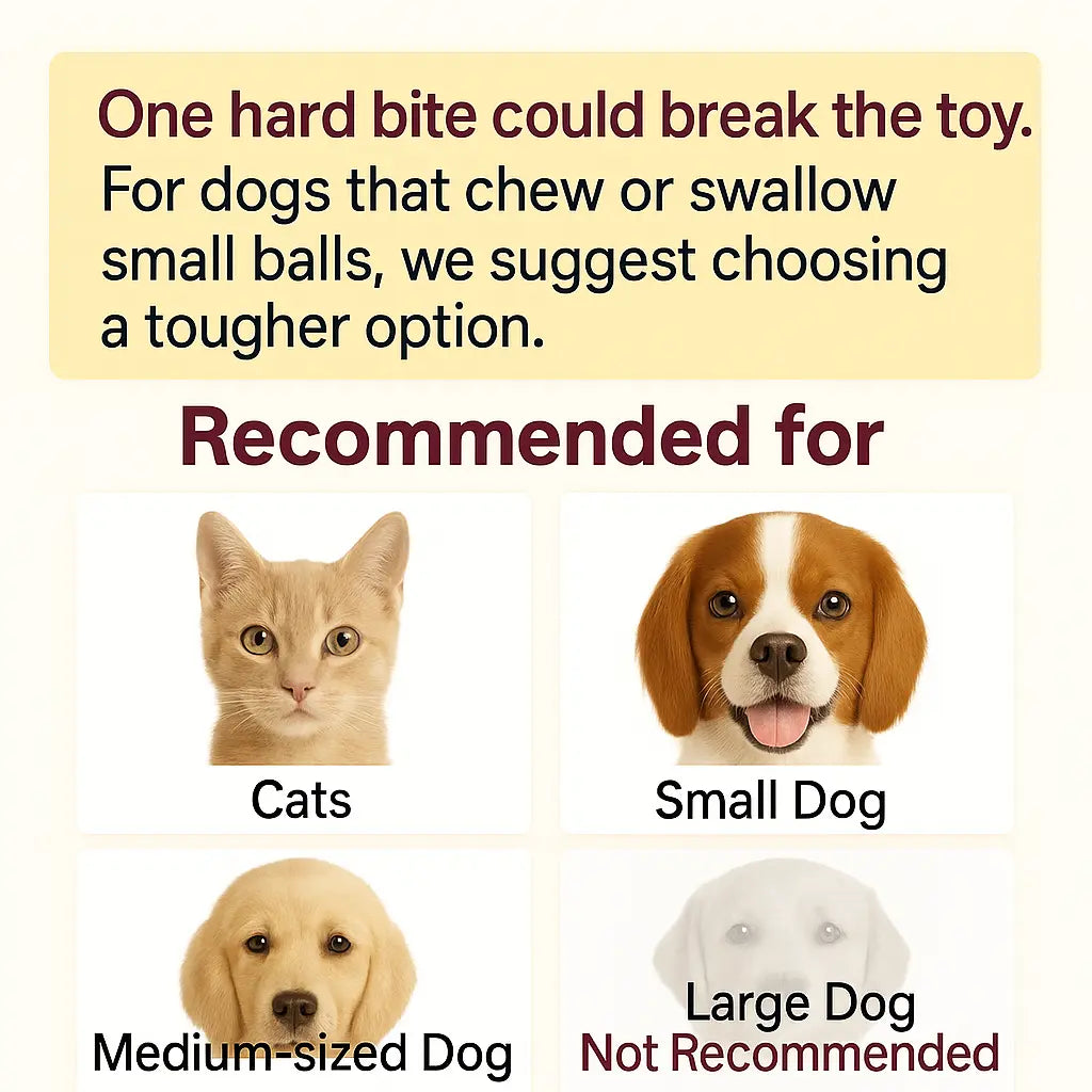 Mizusu Interactive Cat and Dog Teaser Toy with Two Additional Tails - Kitten Rolling Ball Toy and Pet Accessories