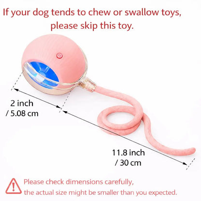 Mizusu Interactive Cat and Dog Teaser Toy with Two Additional Tails - Kitten Rolling Ball Toy and Pet Accessories