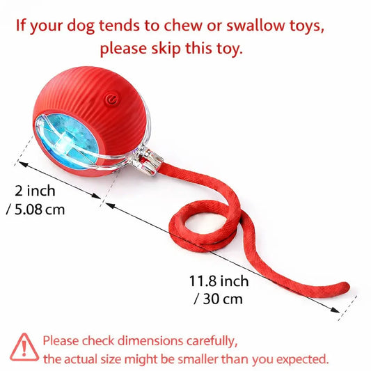 Mizusu Interactive Cat and Dog Teaser Toy with Two Additional Tails - Kitten Rolling Ball Toy and Pet Accessories