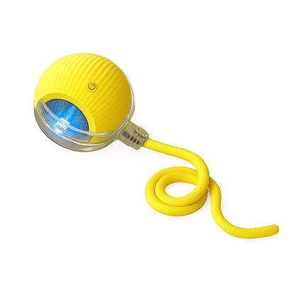 Mizusu Interactive Cat and Dog Teaser Toy with Two Additional Tails - Kitten Rolling Ball Toy and Pet Accessories